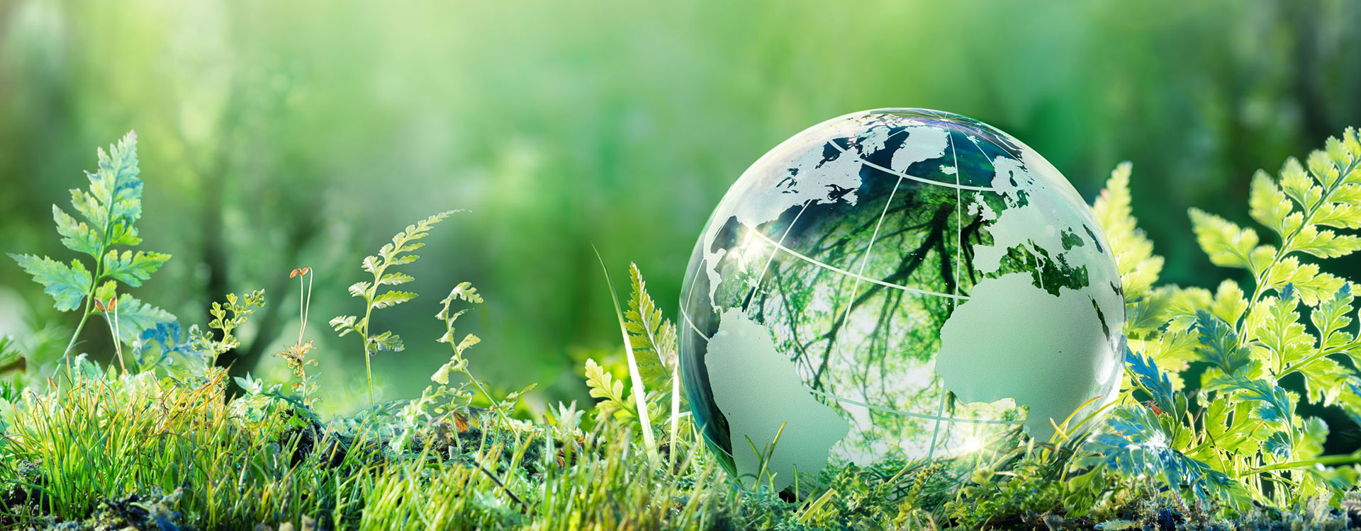 Khả năng mài mòn của Fujistar