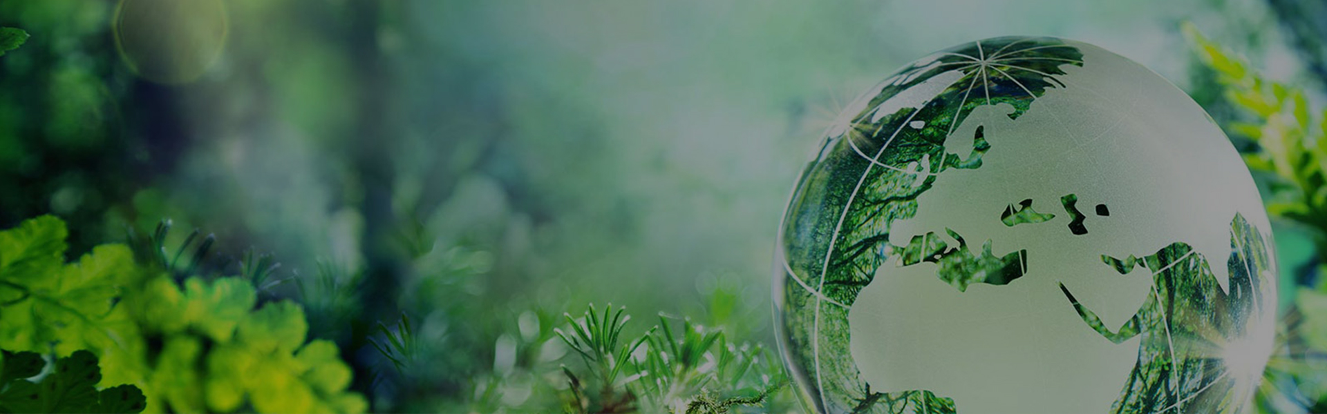 Tính bền vững của mài mòn Fujistar