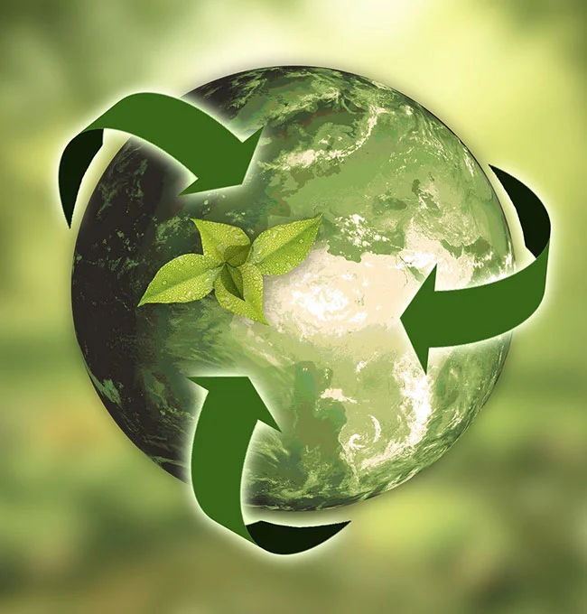 Khả năng mài mòn của Fujistar