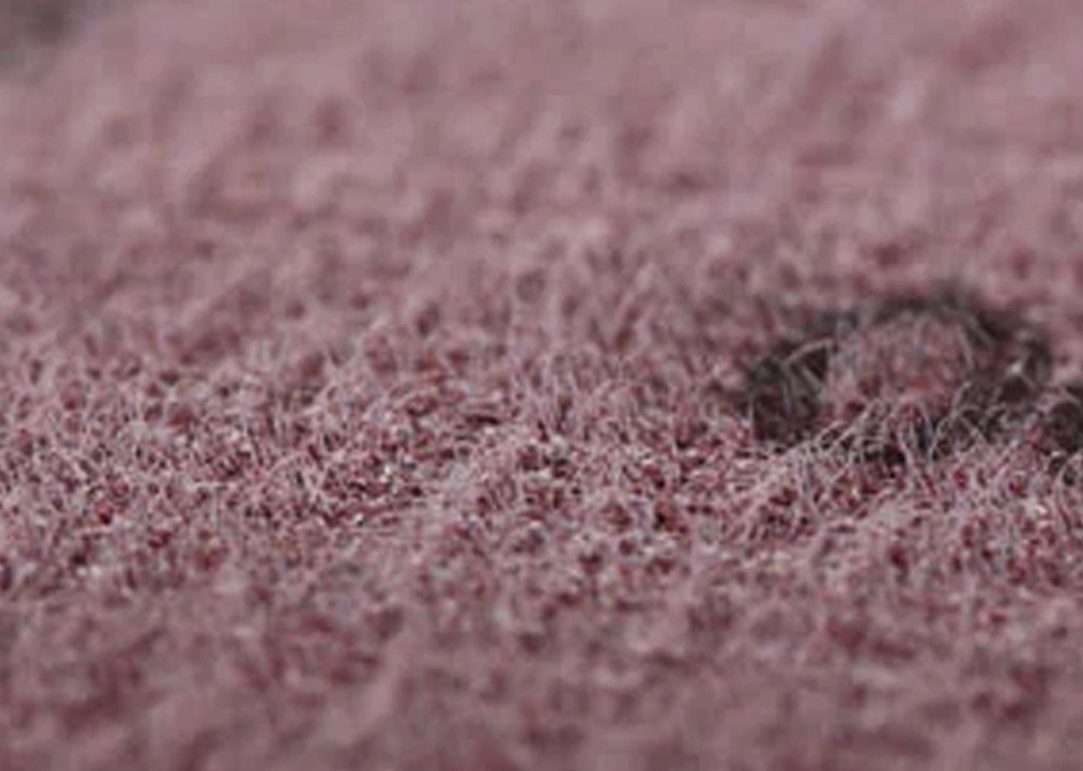 Tại sao chọn đĩa chà nhám của Fujistar?