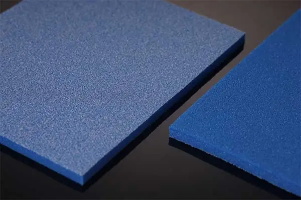 Bọt biển chà nhám