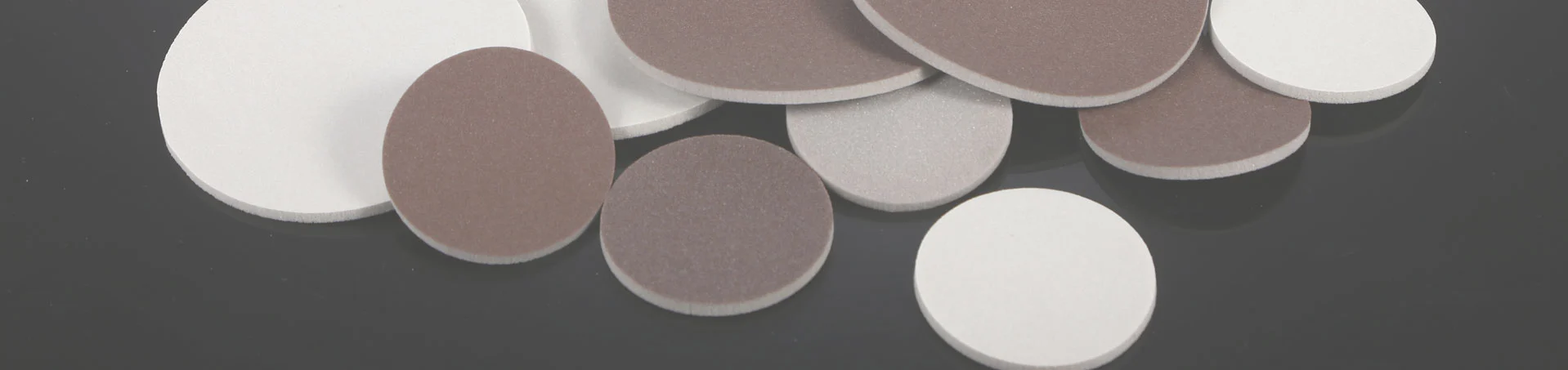 Bọt biển chà nhám